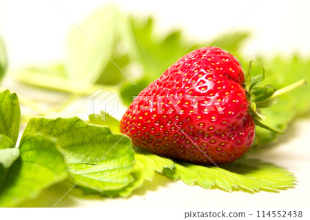 Red and ripe strawberry in leaves on a white background Red and ripe strawberry in leaves on a white background 114552438