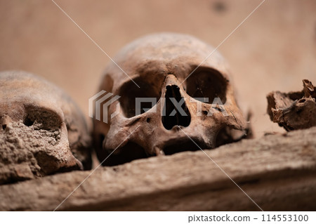 Ancient skull uncovered in catacomb depths Ancient skull uncovered in catacomb depths 114553100