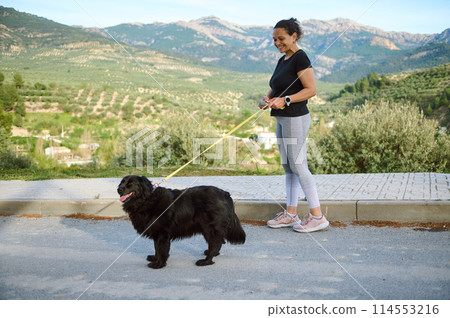 Side portrait of a woman in sportswear, walking her dog on leash in the nature. Multi ethnic enjoying walk with her pedigree purebred black cocker spaniel dog in the mountains nature outdoors Side portrait of a woman in sportswear, walking her dog on leash in the nature. Multi ethnic enjoying walk with her pedigree purebred black cocker spaniel dog in the mountains nature outdoors 114553216
