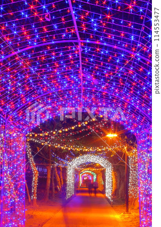 台北燈節 114553477