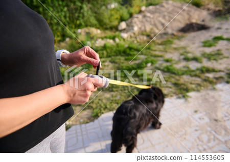 Woman with cute dog taking waste bag from holder in park. Close-up hands hold gray plastic holder for packet for cleaning pets feces, waste while walking the dog 114553605
