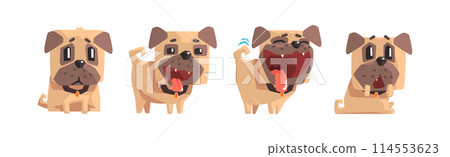 Funny Pug Dog Character with Cute Snout Vector Set Funny Pug Dog Character with Cute Snout Vector Set 114553623