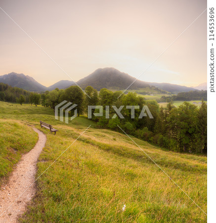 Meadow with road and bench during sunset in Berchtesgaden National Park Meadow with road and bench during sunset in Berchtesgaden National Park 114553696