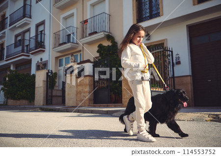Adorable little girl taking her dog for a walk on leash on the city street on a sunny day, dressed in white sportswear. Lovely kid walking her cocker spaniel outdoors 114553752