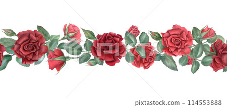 Velvet maroon rose. Horizontal border with garden roses. Summer blooming plant. Romantic ruby flower heads. Watercolor vintage illustration. Seamless floral ornate for wedding, birthday decor 114553888