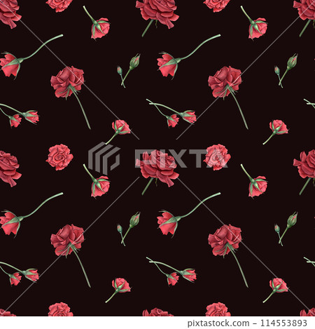 Rose with buds on stem. Deep red, scarlet roses. Seamless pattern of summer ruby flowers. Realistic blooming plants. Watercolor illustration isolated on black background. For memorial day design. Rose with buds on stem. Deep red, scarlet roses. Seamless pattern of summer ruby flowers. Realistic blooming plants. Watercolor illustration isolated on black background. For memorial day design. 114553893