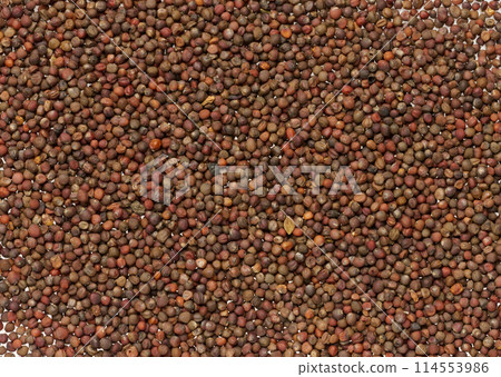 Scattered cabbage seeds, top view Scattered cabbage seeds, top view 114553986