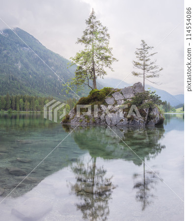 View of Hintersee lake in Berchtesgaden National Park Bavarian Alps, Germany 114554086