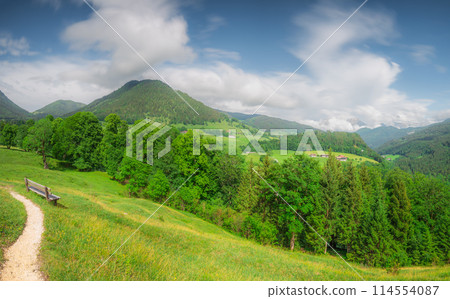 Meadow with road in Berchtesgaden National Park 114554087