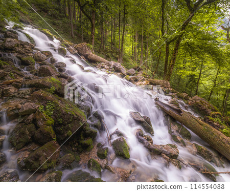 Rothbach Waterfall near Konigssee lake in Berchtesgaden National Park, Germany 114554088