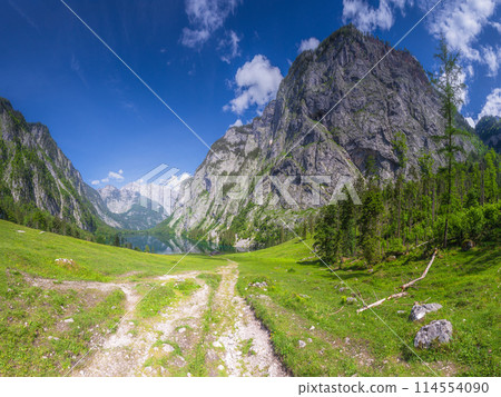 Mountain valley with tracks near Obersee lake in Berchtesgaden National Park 114554090