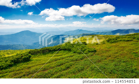 nature scenery with alpine grassy meadow of chornohora ridge in dappled light. carpathian mountain landscape of ukraine under sky with clouds in summer. popular travel destination of transcarpathia nature scenery with alpine grassy meadow of chornohora ridge in dappled light. carpathian mountain landscape of ukraine under sky with clouds in summer. popular travel destination of transcarpathia 114554851
