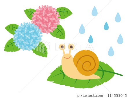 雨、繡球花和騎在葉子上的蝸牛的插圖 114555045