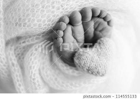 The tiny foot of a newborn baby. Soft feet of a new born in a wool blanket. Close up of toes, heels and feet of a newborn. Knitted heart in the legs of a baby. Black and white Macro photography. The tiny foot of a newborn baby. Soft feet of a new born in a wool blanket. Close up of toes, heels and feet of a newborn. Knitted heart in the legs of a baby. Black and white Macro photography. 114555133