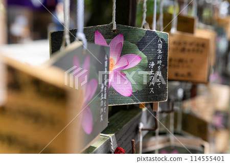 岩手縣：新綠的中尊寺 114555401