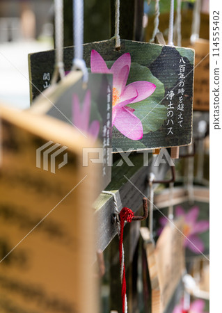 岩手縣:新綠的中尊寺 岩手縣:新綠的中尊寺 114555402