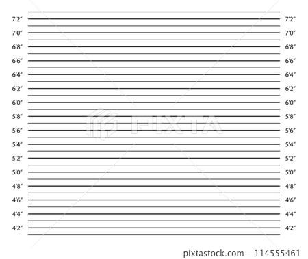 Inches height chart for police photo shoot of wanted, arrested or suspected person identification. Line up mugshot template. Empty background for perpetrator profile. Vector graphic illustration Inches height chart for police photo shoot of wanted, arrested or suspected person identification. Line up mugshot template. Empty background for perpetrator profile. Vector graphic illustration 114555461