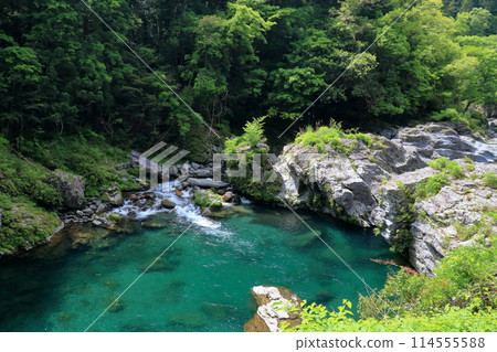 Fresh green Kameiwa Rock, Asemigawa Valley (Motoyama Town, Kochi Prefecture) Fresh green Kameiwa Rock, Asemigawa Valley (Motoyama Town, Kochi Prefecture) 114555588