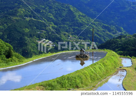 葉根梯田稻田神社(高知縣大豐田) 葉根梯田稻田神社(高知縣大豐田) 114555596
