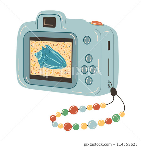 Blue Digital camera device with photo. Hand drawn trendy flat style on white 114555623