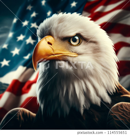 Eagle stern expression, backdrop of American flag, symbolizes patriotism, strength, spirit US 114555651