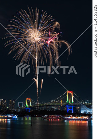 東京夜景台場彩虹煙火 114555828