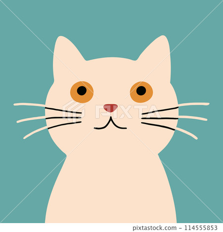 Freaky comic white cat on turquoise background. Hand drawn naive kitten. 114555853