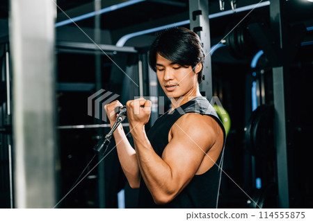 An adult bodybuilder in the gym doing cable triceps pull-up with a heavy weight, showcasing his strength and power. lifestyle and people concept An adult bodybuilder in the gym doing cable triceps pull-up with a heavy weight, showcasing his strength and power. lifestyle and people concept 114555875