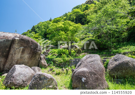 京都府笠置町笠置巨石的新綠木津川風景 114555920