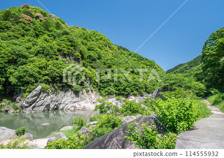 京都府笠置町笠置巨石的新綠木津川風景 114555932
