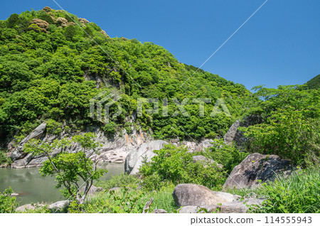 Fresh greenery of the Kizugawa River, Kasagi Boulders, Kasagi Town, Kyoto Prefecture 114555943