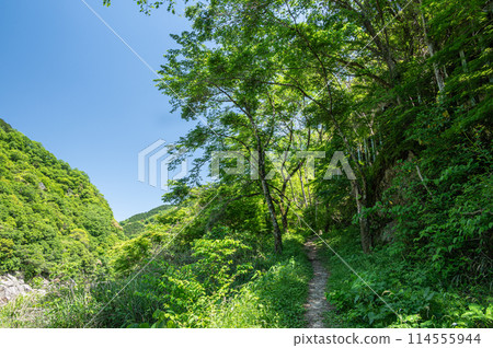 Silver Belt Hiking Trail along the Kizu River, Kasagi Town, Kyoto Prefecture 114555944