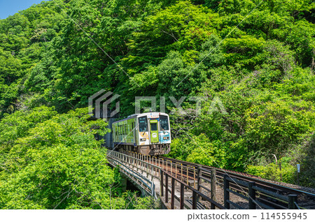 A wrapped train running on the Kansai Line in Kasagi Town, Kyoto Prefecture 114555945