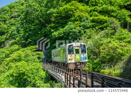 A wrapped train running on the Kansai Line in Kasagi Town, Kyoto Prefecture 114555946