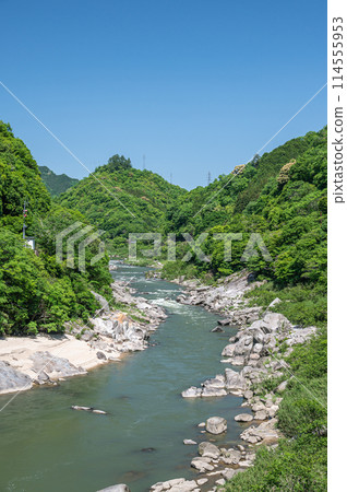 Fresh greenery on the Kizugawa River in Kasagi Town, Kyoto Prefecture 114555953