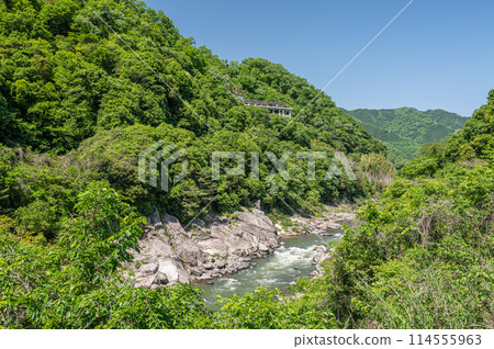 Fresh greenery on the Kizugawa River in Kasagi Town, Kyoto Prefecture Fresh greenery on the Kizugawa River in Kasagi Town, Kyoto Prefecture 114555963