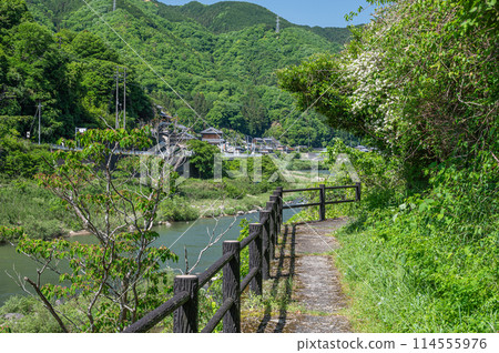 京都府笠置町銀帶健行路線 木津川沿岸散步道 京都府笠置町銀帶健行路線 木津川沿岸散步道 114555976