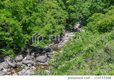 The clear stream with potholes in Kasagi Town, Kyoto Prefecture, Nunome River The clear stream with potholes in Kasagi Town, Kyoto Prefecture, Nunome River 114555986