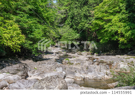 The clear stream with potholes in Kasagi Town, Kyoto Prefecture, Nunome River The clear stream with potholes in Kasagi Town, Kyoto Prefecture, Nunome River 114555991