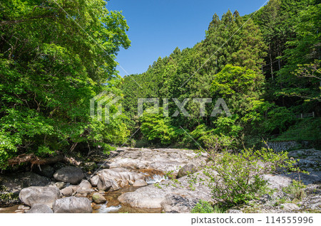 The clear stream with potholes in Kasagi Town, Kyoto Prefecture, Nunome River The clear stream with potholes in Kasagi Town, Kyoto Prefecture, Nunome River 114555996