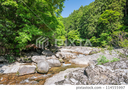 The clear stream with potholes in Kasagi Town, Kyoto Prefecture, Nunome River The clear stream with potholes in Kasagi Town, Kyoto Prefecture, Nunome River 114555997