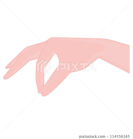 Isolated hand holding gesture Vector Isolated hand holding gesture Vector 114556165