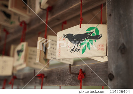 Shioka Kumano Shrine in Yokohama Shioka Kumano Shrine in Yokohama 114556404