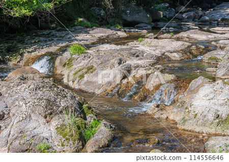 The clear stream with potholes in Kasagi Town, Kyoto Prefecture, Nunome River The clear stream with potholes in Kasagi Town, Kyoto Prefecture, Nunome River 114556646