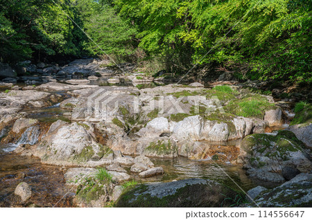 The clear stream with potholes in Kasagi Town, Kyoto Prefecture, Nunome River The clear stream with potholes in Kasagi Town, Kyoto Prefecture, Nunome River 114556647