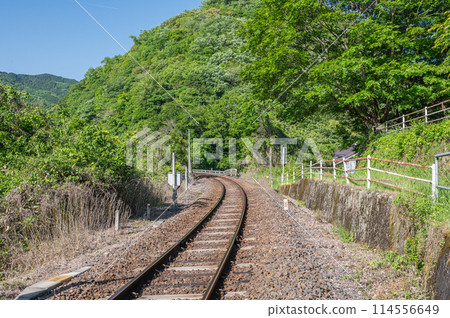 A local line running along the Kizu River, Kansai Line, Kasagi Town, Kyoto Prefecture 114556649