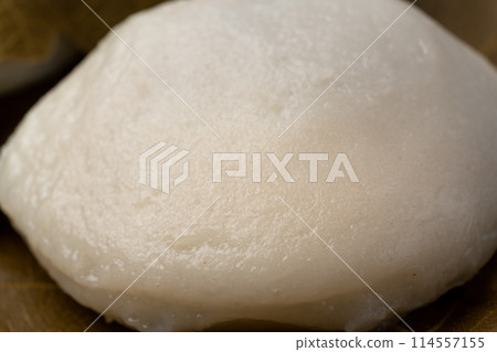 Kashiwa蛋糕特寫鏡頭 114557155