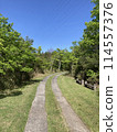A single road surrounded by fresh greenery 114557376