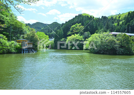 鐮北湖，新綠的湖畔，春天的景色 114557605
