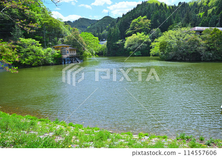Lake Kamokita - Spring scenery with fresh greenery on the lakeside 114557606